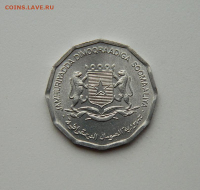 Сомали 10 центов 1976 г. (Фауна)без оборащения до 29.10.20 - DSCN2636.JPG