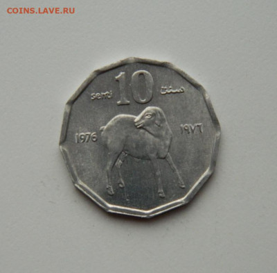 Сомали 10 центов 1976 г. (Фауна)без оборащения до 29.10.20 - DSCN2637.JPG