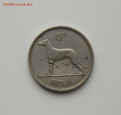 Ирландия 6 пенсов 1946 г. (Фауна) до 29.10.20 - DSCN2602.JPG