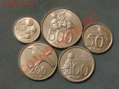 -v- Индонезия 5шт. Птицы за 100руб. - DSC04563.JPG