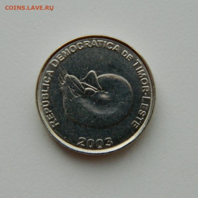Восточный Тимор 1 сентаво 2003 г. до 02.11.20 - DSCN2732.JPG