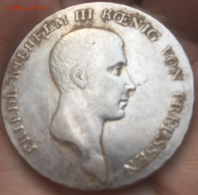 1 таллер 1810 - 3F07138B-6048-4706-BA78-D88886B73D2C