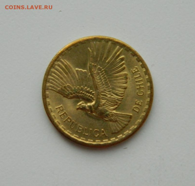 Чили 2 сентесимо 1965 г. (Фауна) до 02.11.20 - DSCN2848.JPG