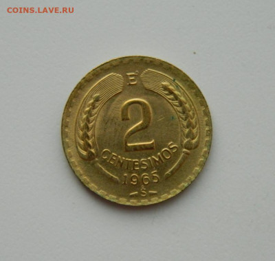 Чили 2 сентесимо 1965 г. (Фауна) до 02.11.20 - DSCN2849.JPG