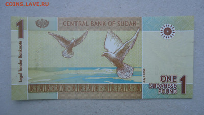СУДАН 1 ФУНТ 2006 UNC - DSC00326.JPG