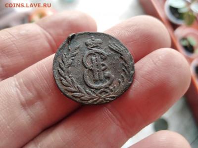копейка сибирь 1778 до 01.11.2020 - 1778 (7) - копия