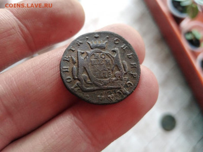 копейка сибирь 1778 до 01.11.2020 - 1778 (6) - копия