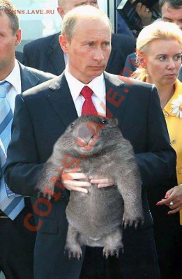 С днем рождения, wombatkin! - Путин с вомбатом