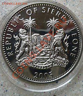Сьерра-Леоне 1$  Бегемот 2005  г до 24.09.11.21-00 - P1120908_thumb