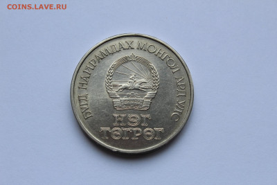 Монголия 1 тугрик 1971 Cu-Ni, до 04.11 - IMG_1068.JPG