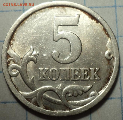 РАЗНОВИДНОСТИ  от  СЛФ - DSC08137.JPG