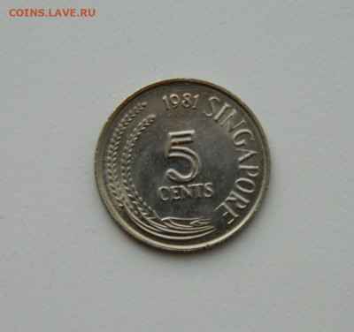 Сингапур 5 центов 1981 г. (Фауна) до 05.11.20 - DSCN2746.JPG