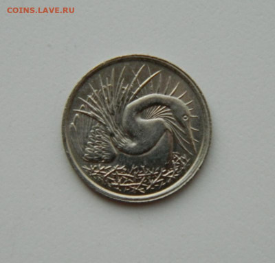 Сингапур 5 центов 1981 г. (Фауна) до 05.11.20 - DSCN2747.JPG