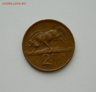 Южная Африка 2 цента 1980 г. (Фауна). до 05.11.20 - DSCN2754.JPG