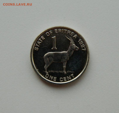 Эритрея 1 цент 1997 г(Фауна)без обращения до 05.11.20 - DSCN2722.JPG