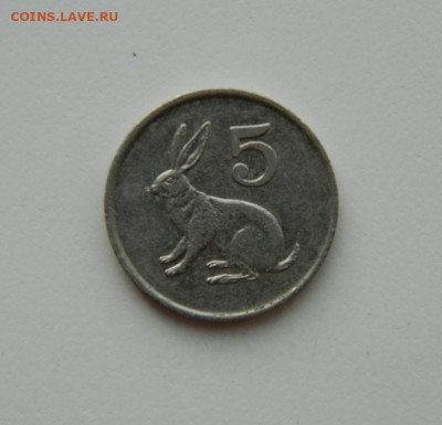 Зимбабве 5 центов 1991 г. (Фауна). до 05.11.20 - DSCN2831.JPG