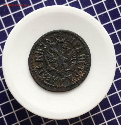 Полушка 1707года. Супер сохран! - 0E09016C-9B24-40BC-AC13-592DC762F488