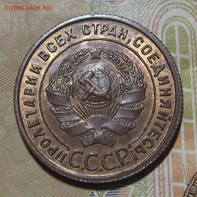 1 копейка 1924 (без обращения) - red3224974.JPG