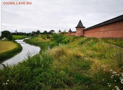 ФОТО - просто фото. Те что получились удачными. - Screenshot_20201031-130726_Gallery