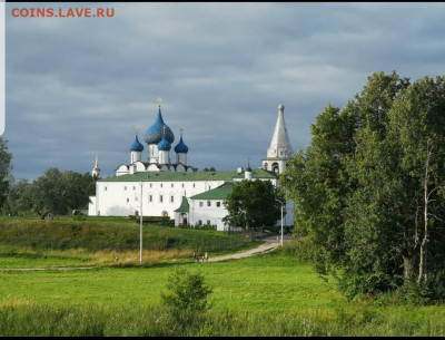 ФОТО - просто фото. Те что получились удачными. - Screenshot_20201031-130641_Gallery
