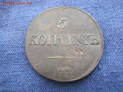 5 копеек 1831 года СМ,  до 9.11 в 22:00 по Москве - 5 коп 1831 см 04.JPG