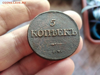 5 копеек 1831 СМ до 08.11.2020 - 1831 (7) - копия