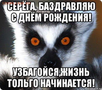 Гришко Сергей, С Днём Рождения!!! - 6bd2fab276c1