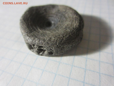 Позвонок, рыба, плейстоцен , до 11.11.2020 22:00 мск - IMG_4766.JPG