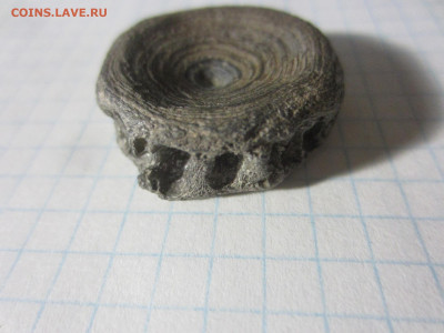 Кость, плейстоцен, до 11.11.2020 22:00 мск - IMG_4764.JPG