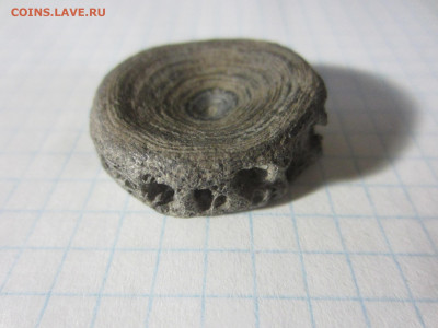 Кость, плейстоцен, до 11.11.2020 22:00 мск - IMG_4763.JPG