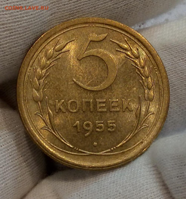 5 копеек 1955г штемпельный UNC до 08.11.20 - IMG_20201107_091103
