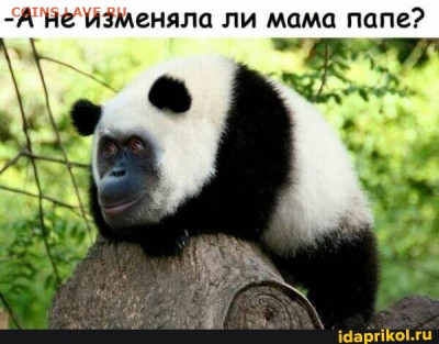 юмор - 0 a 76 gfc321