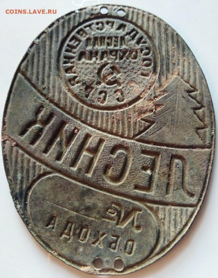 На оценку. Знак лесника. - EwSMdKm3ouY