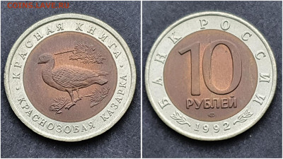 Краснозобая Казарка 10 рублей 1992 год. Хорошая. До 13.11 - IMG_20201106_220935