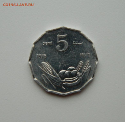 Сомали 5 центов 1976 г. (ФАО) до 12.11.20 - DSCN3160.JPG