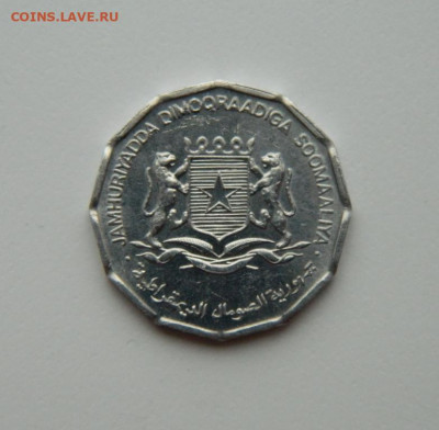 Сомали 5 центов 1976 г. (ФАО) до 12.11.20 - DSCN3161.JPG
