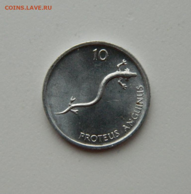 Словения 10 стотинов 1993 г. (Ящерица) до 12.11.20 - DSCN3186.JPG
