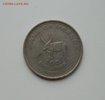 Уганда 100 шиллингов 1998 г.(Фауна) до 12.11.20 - DSCN3230.JPG