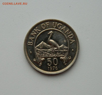 Уганда 50 центов 1976 г. (Фауна)  до 12.11.20 - DSCN3174.JPG