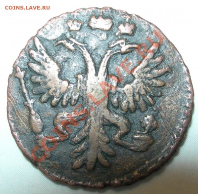 Россия, полушка 1731 - Россия, полушка 1731 герб.JPG