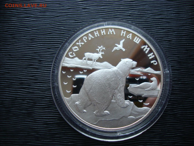 25 рублей 1997г. Серебро. СНМ. Полярный медведь. До 16.11 - медведь (1).JPG