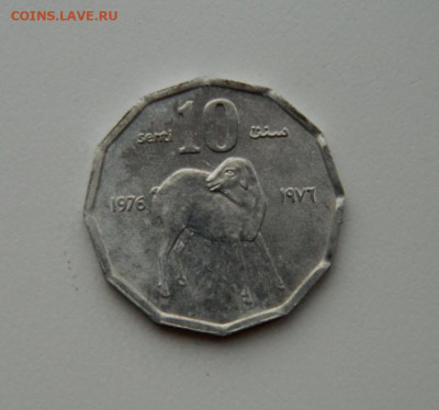 Сомали 10 центов 1976 г. (Фауна)  до 12.11.20 - DSCN3234.JPG