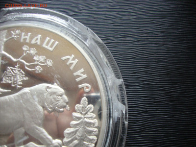 100 рублей 1996г. Серебро 1 кг. СНМ. Амурский тигр. до 17.11 - кг (4).JPG