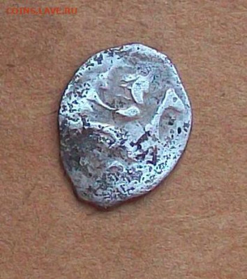 Денга Ивана III  до 16.11 в 22.00 мск - 100_9605.JPG