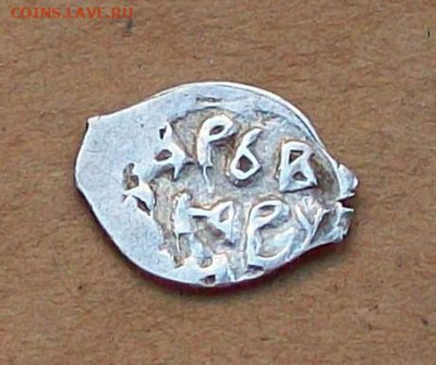 Тверь строчник, денга ИванIII  до 16.11 в 22.00 мск - 100_9602.JPG