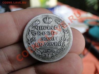 11 в 22-00 москва - 23432.JPG