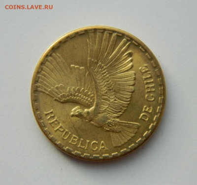 Чили 10 сентесимо 1966 г. (Кондор). до 17.11.20 - DSCN3505.JPG