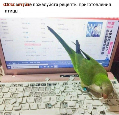 юмор - i (1)