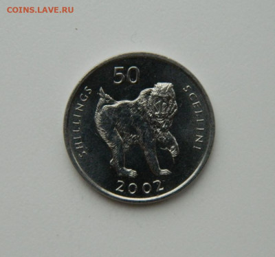 Сомали 50 шиллингов 2002 г. (Фауна) до 17.11.20 - DSCN3409.JPG