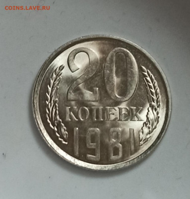 20 копеек 1981 года Шт. 1.2  Яркий UNC до 15.11 в 22.00 мск - IMG_20201112_185816